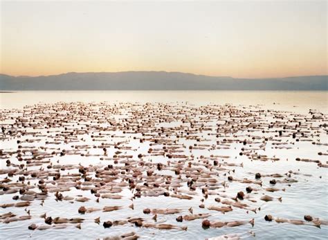 young nude galleries|The Naked World of Spencer Tunick